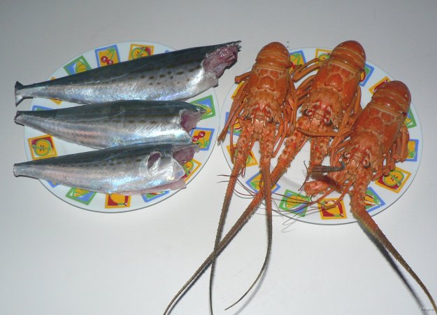 84- Au menu thazards et langoustes 
